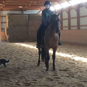 Meet your Posher, Amy